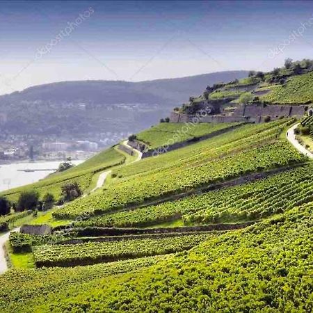 1.0 Relaxen Am Kloster Johannisberg Geisenheim Eksteriør bilde