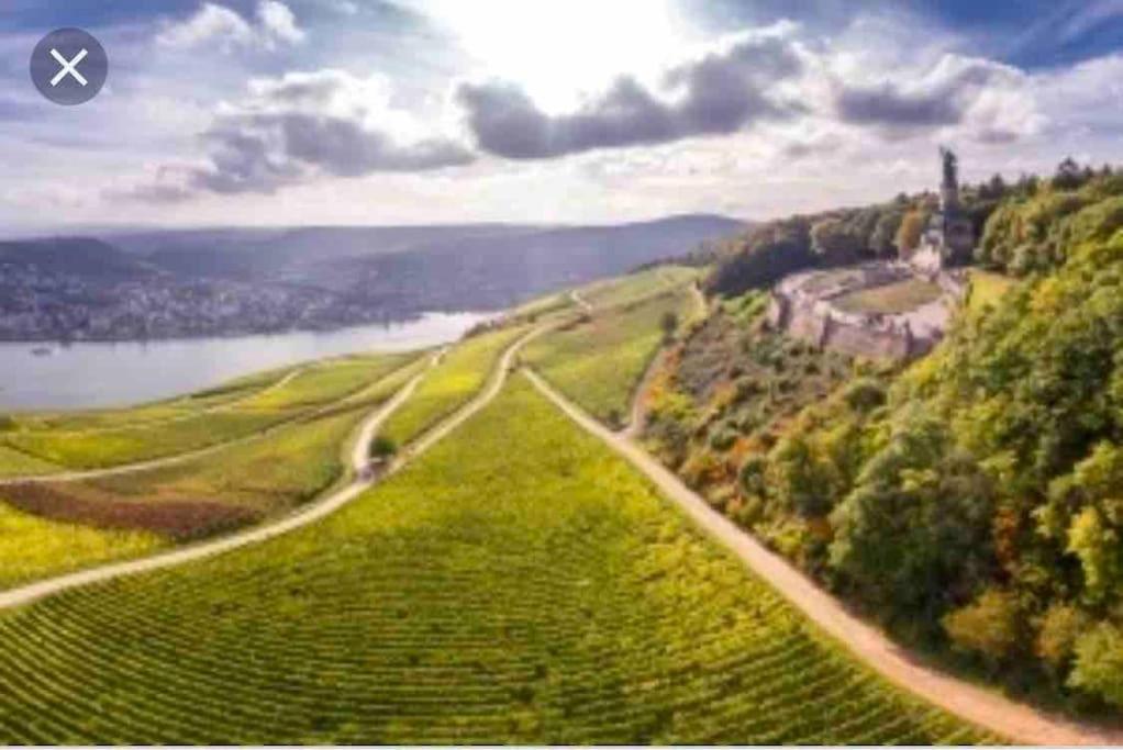 1.0 Relaxen Am Kloster Johannisberg Geisenheim Eksteriør bilde